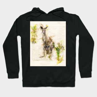 Australian Kangaroo and Baby Joey Hoodie